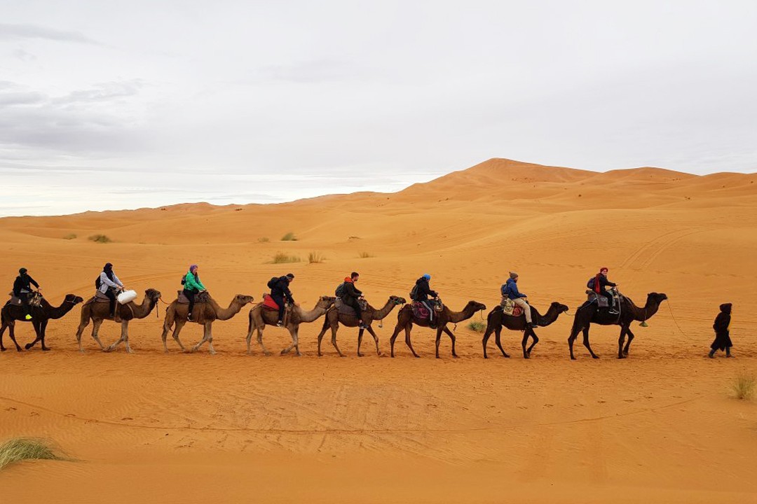 Lovely Morocco Tours | Private Morocco Tours Company 2023