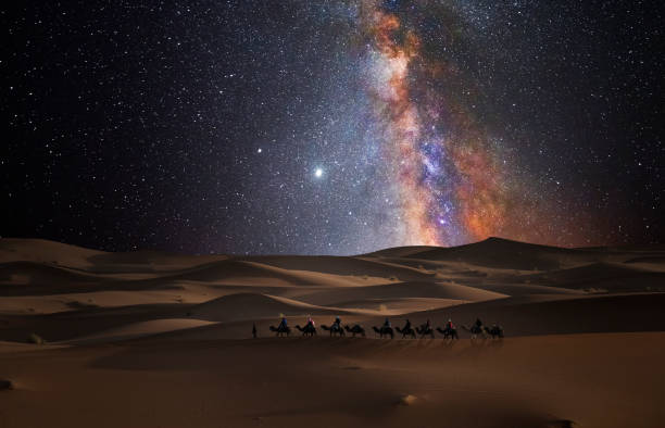 https://lovelymoroccotours.com/1-night-camel-trekking-in-merzouga-desert/