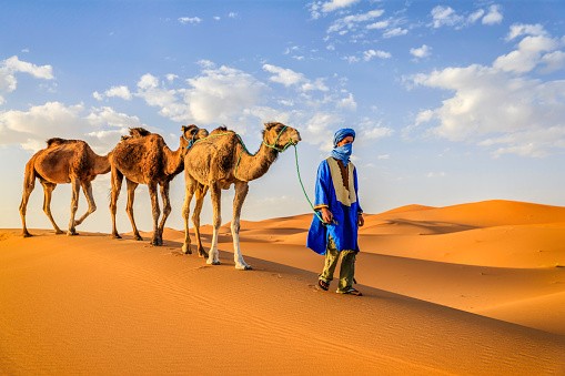 Camel men with camels on the western part of The Sahara Desert in Morocco.
