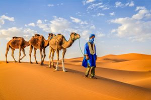 Read more about the article 10 Top Things To Do In the Sahara Desert Merzouga | Morocco Travel Guide