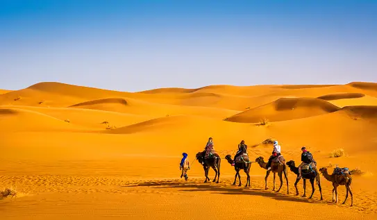 Marrakech to Fes Desert Tour
