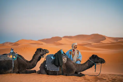 3 Days from Marrakech to Fes Desert Tour: