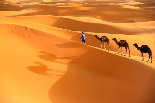 https://lovelymoroccotours.com/fes-to-merzouga-itinerary-3-days/