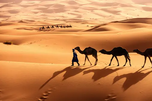 3 days Desert Tour from Ouarzazate to Merzouga