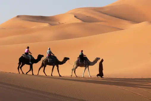 sunset camel ride in Merzouga Desert
