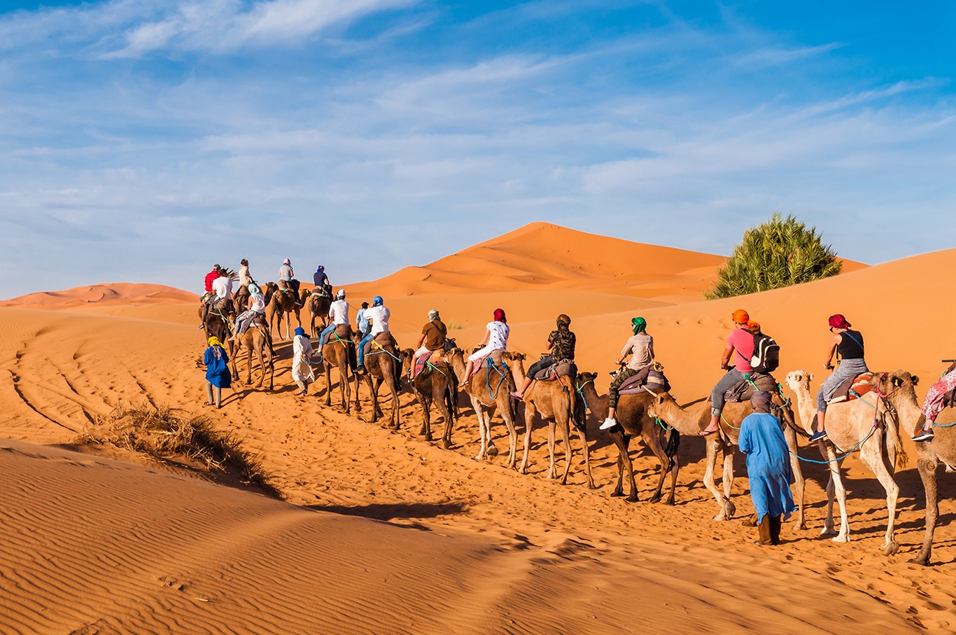 7 Days Marrakech to Casablanca Desert Tour