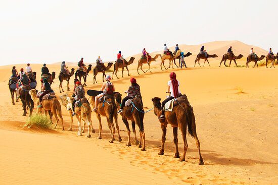 Marrakech Group Student Tours